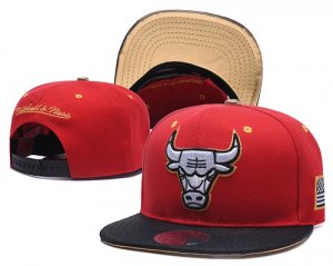 Bulls Team Logo Red Mitchell & Ness Adjustable Hat YD