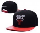 NBA Adjustable Hats (107)