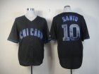 mlb jerseys chicago cubs #10 santo black[fashion]