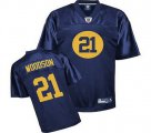 nfl green bay packers #21 woodson blue