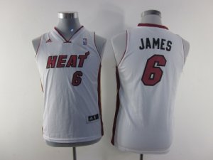 youth nba miami heat #6 james white[revolution 30 swingman]