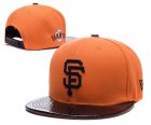 MLB Adjustable Hats (95)