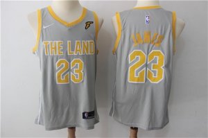 Cavaliers #23 LeBron James Gray The Land Nike Swingman Jersey