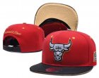 Bulls Team Logo Red Mitchell & Ness Adjustable Hat YD