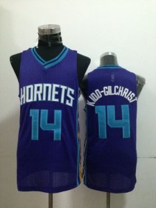 nba Charlotte Hornets #14 KIDD-GILCHRIST PURPLE