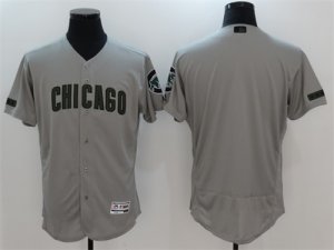 Chicago Cubs Blank Gray 2017 Memorial Day Flexbase Jersey