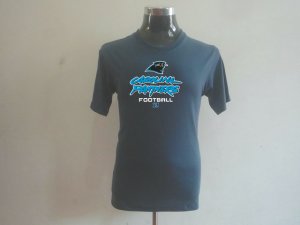 Carolina Panthers Big & Tall Critical Victory T-Shirt Grey