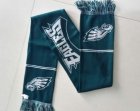 Philadelphia Eagles Metallic Thread Scarf