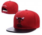 NBA Adjustable Hats (118)