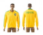Brazil yellow jacket