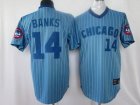 mlb Chicago Cubs #14 Ernie Banks blue(white stripe)