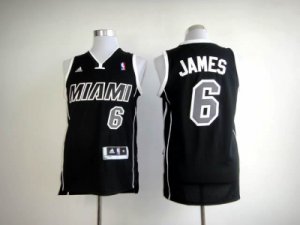 nba miami heat #6 james black[revolution 30 swingman]