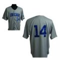 mlb chicago cubs #14 banks grey