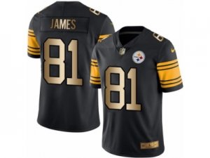 Mens Nike Steelers #81 Jesse James Black Stitched NFL Limited Gold Rush Jersey