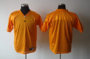 ncaa (tennessee) blank orange