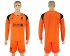 Liverpool Blank Orange Goalkeeper Long Sleeves Soccer Club Jersey