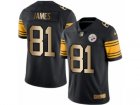 Mens Nike Steelers #81 Jesse James Black Stitched NFL Limited Gold Rush Jersey
