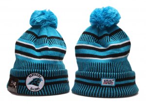 Panthers Team Logo 100th Season Cuffed Pom Knit Hat YP