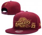 NBA Adjustable Hats (62)