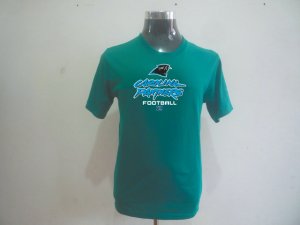 Carolina Panthers Big & Tall Critical Victory T-Shirt Green