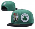 Celtics Fresh Logo Green Adjustable Hat LH