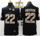 Nike Denver Broncos #22 C.J. Anderson Black Super Bowl 50 Men's Stitched NFL Limited Salute to Service Jersey