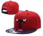 NBA Adjustable Hats (116)