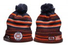 Bears Fresh Logo Orange 100th Season Pom Knit Hat YD