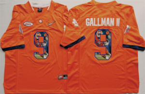 Clemson Tigers 9 Wayne Gallman II Orange Portrait Number College Jersey