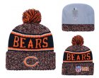 Bears Fresh Logo Navy Pom Knit Hat YD