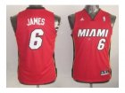 Youth nba miami heat #6 james red[revolution 30 swingman]