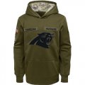 Carolina Panthers Nike Youth Salute to Service Pullover Performance Hoodie Green