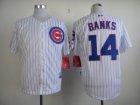 mlb jerseys chicago cubs #14 banks white[blue stripe][2014 new]