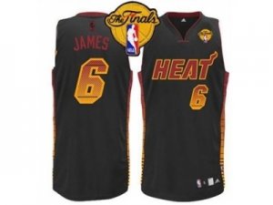 nba miami heat #6 james black[number golden][2013 finals]