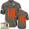 Nike Denver Broncos #18 Peyton Manning Grey Super Bowl 50 Men Stitched NFL Elite Vapor Jersey