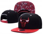 NBA Adjustable Hats (99)