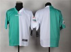 Nike Miami Dolphins blank green-whote jerseys[Elite Split]