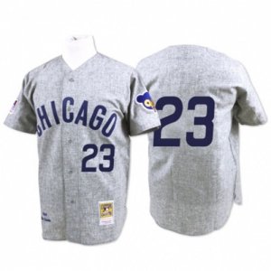 Mens Mitchell and Ness Chicago Cubs #23 Ryne Sandberg Replica Grey 1969 Throwback MLB Jersey