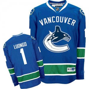 youth nhl vancouver canucks #1 luongo blue