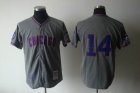 mlb chicago cubs #14 Banks M&N 1968 GREY